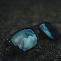 Fox Rage Transparent Black Brown Lens Mirror Blue Eyewear